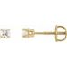 Round 4-Prong Stud Earrings