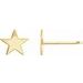 Star Earrings