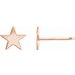 Star Earrings