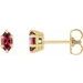 Marquise 6-Prong Claw Stud Earrings