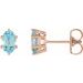 Oval 6-Prong Stud Earrings