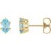 Oval 6-Prong Stud Earrings