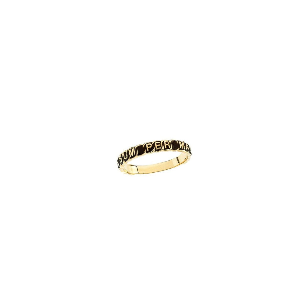 "To Jesus Through Mary" Total Consecration Ring