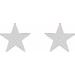 Star Earrings