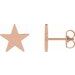 Star Earrings