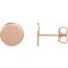 Engravable Disc Earrings