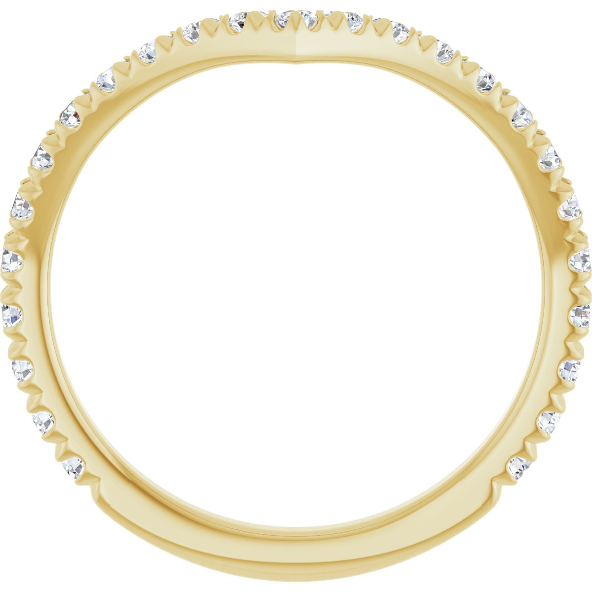 Accented Contour Band