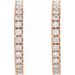 Accented Hoop Earrings