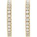 Accented Hoop Earrings