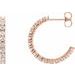 Accented Hoop Earrings