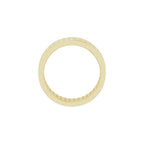 Double Row Accented Band