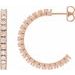 Accented Hoop Earrings