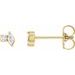 Accented Stud Earrings
