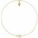 Shell Anklet