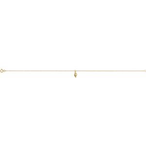 Shell Anklet