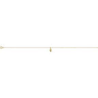 Shell Anklet