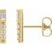 Accented Bar Earring