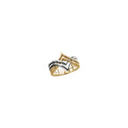 Geometric Ring