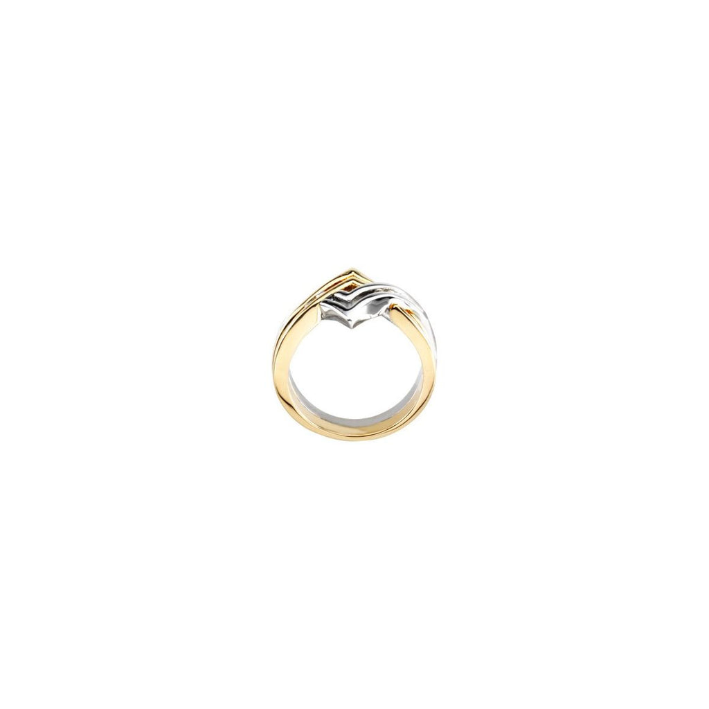 Geometric Ring