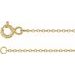 Shell Anklet