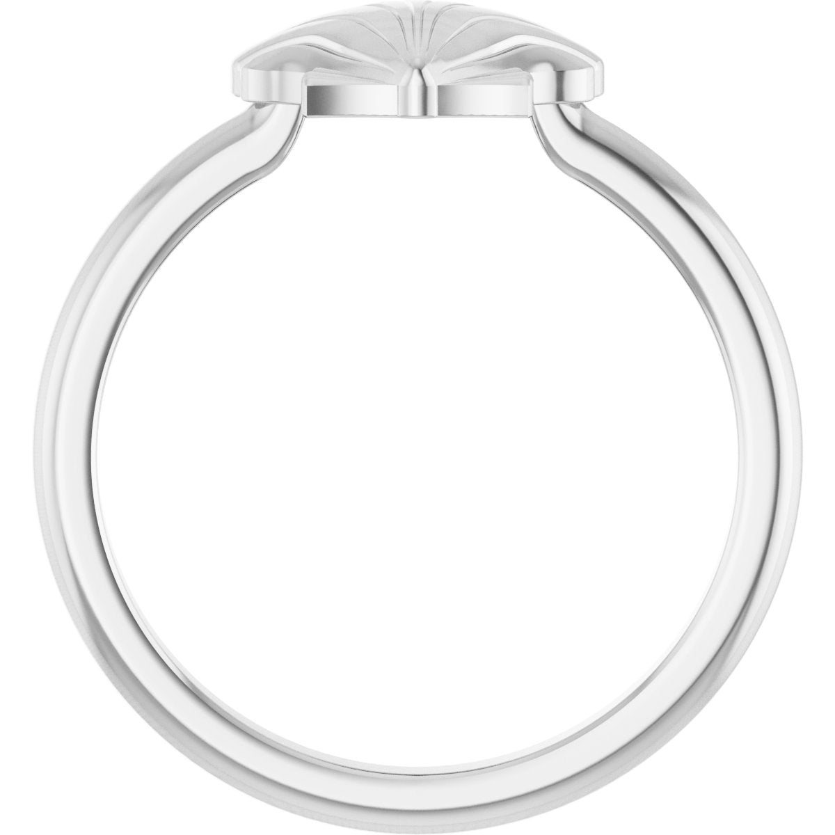 Shell Ring