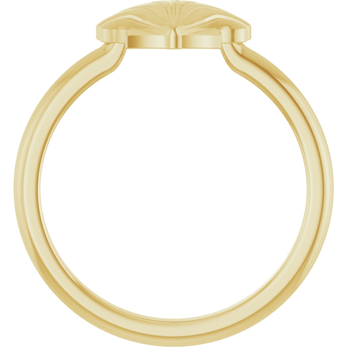 Shell Ring