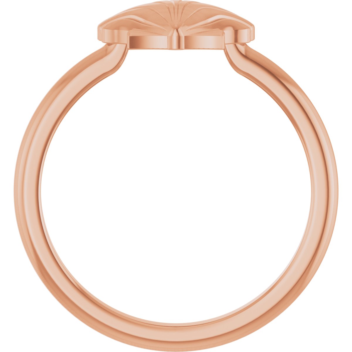 Shell Ring
