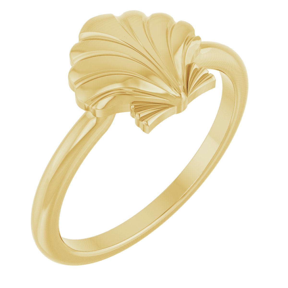 Shell Ring