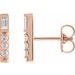 Accented Bar Earring