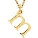 Lowercase Initial Necklace or Charm/Pendant
