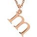 Lowercase Initial Necklace or Charm/Pendant