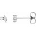 Accented Stud Earrings