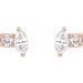 Accented Stud Earrings