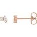 Accented Stud Earrings