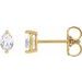 Oval 2-Prong Stud Earrings