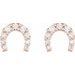 Horseshoe Earrings