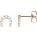 Horseshoe Earrings