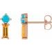 Two-Stone Bar Earrings