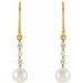 Accented Pearl Bar Earrings
