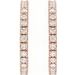 Accented Hoop Earrings