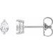 Oval 2-Prong Stud Earrings