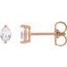 Oval 2-Prong Stud Earrings