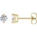 Round 2-Prong Stud Earrings