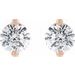 Round 2-Prong Stud Earrings