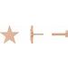 Star Earrings