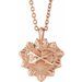 Sacred Heart Necklace or Pendant