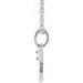 Accented Zodiac Necklace