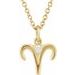 Accented Zodiac Necklace