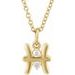Accented Zodiac Necklace