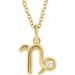 Accented Zodiac Necklace